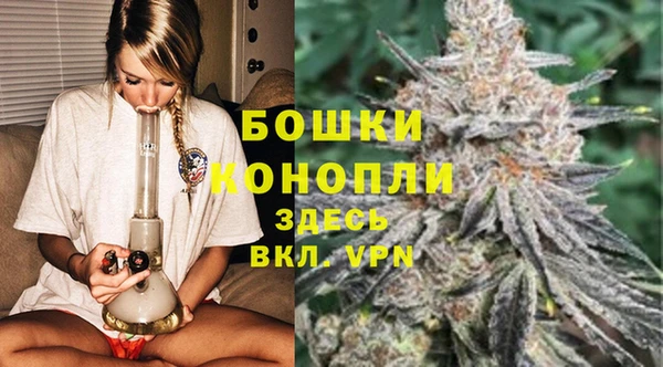 скорость Вяземский