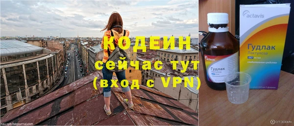 скорость Вяземский