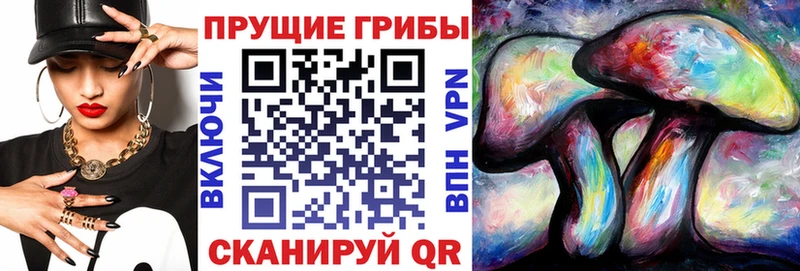 Псилоцибиновые грибы Psilocybe  blacksprut вход  Иваново 